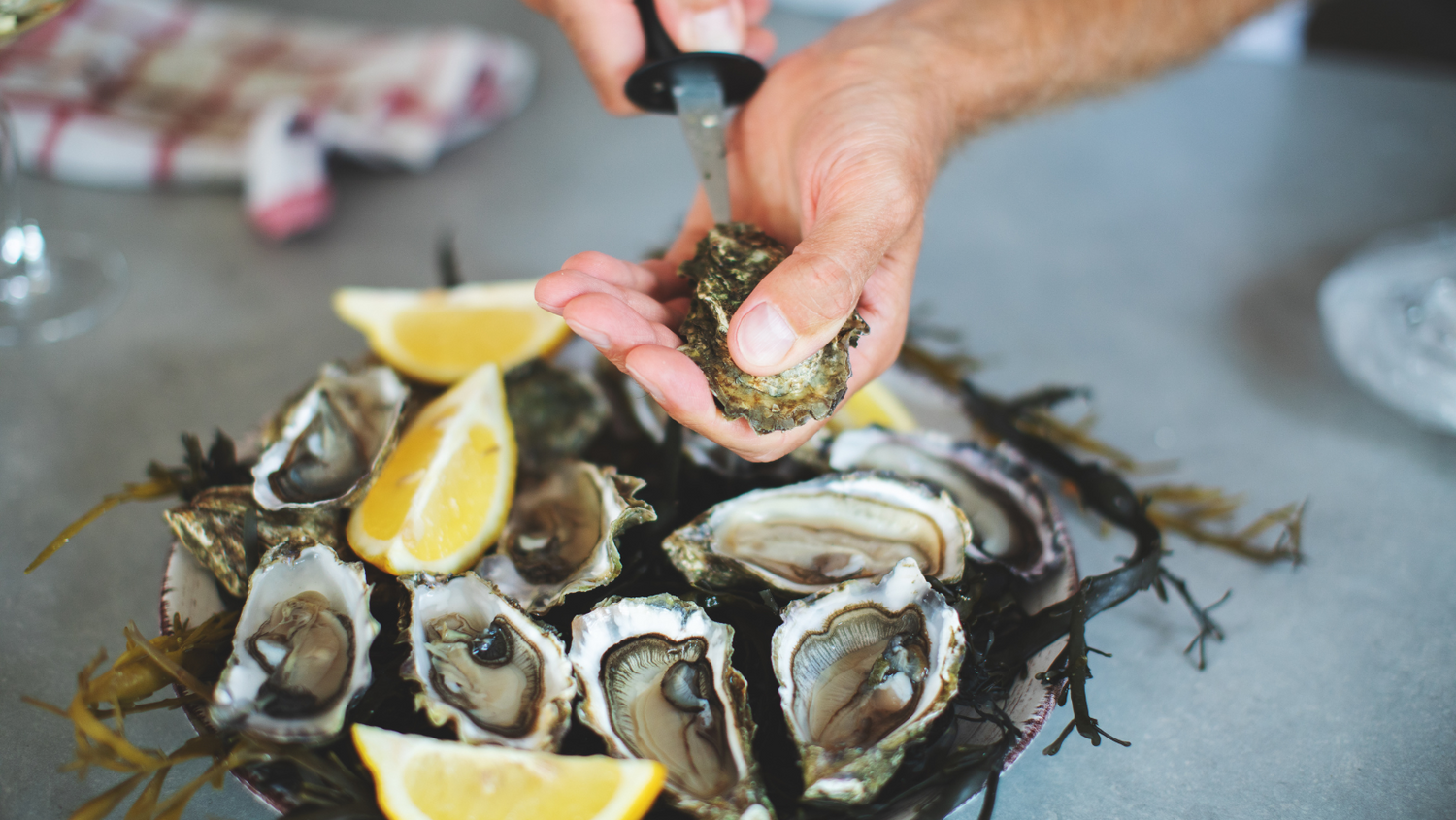 Celebrate National Oyster Day with Emelia's Special Recipes